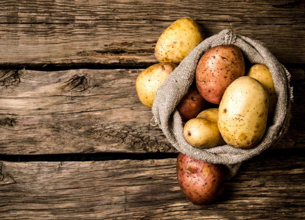 Patates+su%C4%B1unun+mucizevi+fa%C4%B1daları%21;+O+hastalıklara+tam+bir+panzehir Patates+su%C4%B1unun+mucizevi+fa%C4%B1daları%21;+O+hastalıklara+tam+bir+panzehir