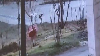 Bursa’da bir kez daha köpek dehşeti yaşandı. Nilüfer ilçesinde köpeklerin kovaladığı çocuklardan bir