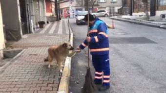 Üsküdar Belediyesi´nde görev yapan bir temizlik işçisinin, köpekle olan dostluğu izleyenlerin içini