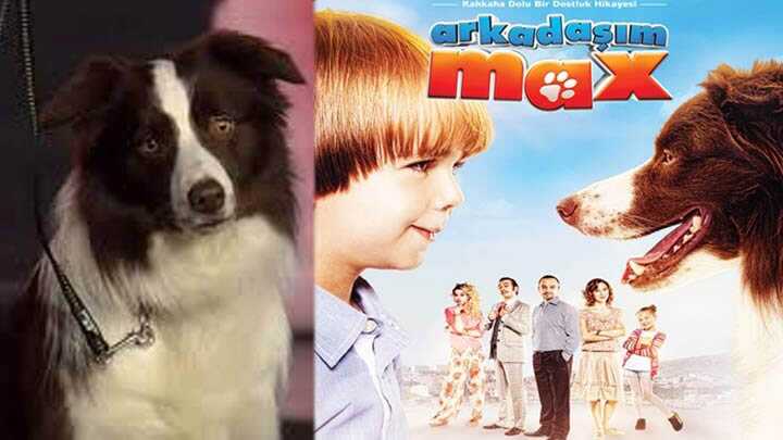 Arkadaşım Max – Filmin Künyesi 56