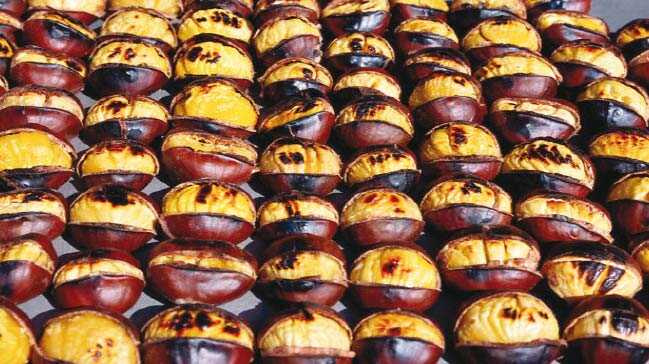 KESTANE KEBAP KESTANE KEBAP