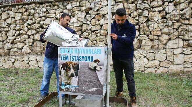 Ba%C5%9Fak%C5%9Fehir%E2%80%99de+sokak+hayvanlar%C4%B1+bu+k%C4%B1%C5%9F+da+a%C3%A7+kalmayacak