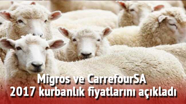 2017+CarrefourSA+ve+Migros+kurbanl%C4%B1k+fiyatlar%C4%B1n%C4%B1+yay%C4%B1nlad%C4%B1