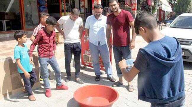 %C5%9Eanl%C4%B1urfa%E2%80%99da+nesli+t%C3%BCkenmekte+olan+Urfa+Keleri+olarak+adland%C4%B1r%C4%B1lan+bir+canl%C4%B1+t%C3%BCr%C3%BCn%C3%BC+yakalad%C4%B1