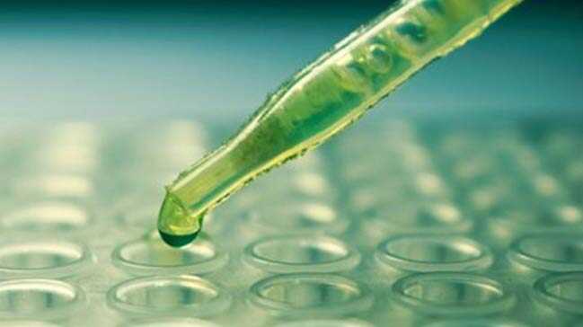 Evlilik+%C3%B6ncesi+SMA+testi+yap%C4%B1lacak