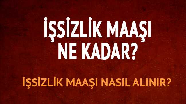 %C4%B0%C5%9Fsizlik+maa%C5%9F%C4%B1+nas%C4%B1l+al%C4%B1n%C4%B1r+