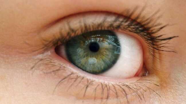 Retina+sa%C4%9Fl%C4%B1%C4%9F%C4%B1na+iyi+gelen+yemekler+derlendi