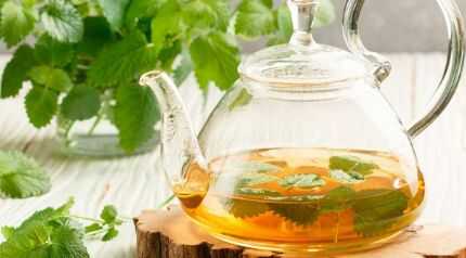 Melisa �i�e�i nedir? Yararlar� nedir?