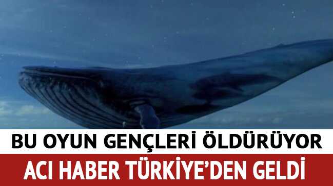 Mavi Balina Oyunu Hakkında Herşey Mavi Balina Oyunu Hakkında Herşey