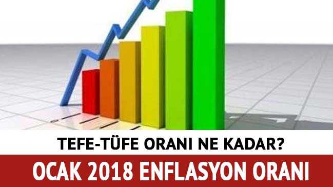 Ocak+%C5%9Eubat+enflasyon+oranlar%C4%B1+2018+a%C3%A7%C4%B1kland%C4%B1%21;+TEFE+T%C3%BCFE+oran%C4%B1+ne+kadar?