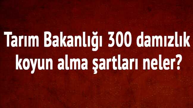 Tar%C4%B1m+Bakanl%C4%B1%C4%9F%C4%B1+300+dam%C4%B1zl%C4%B1k+koyun+alma+%C5%9Fartlar%C4%B1+neler?
