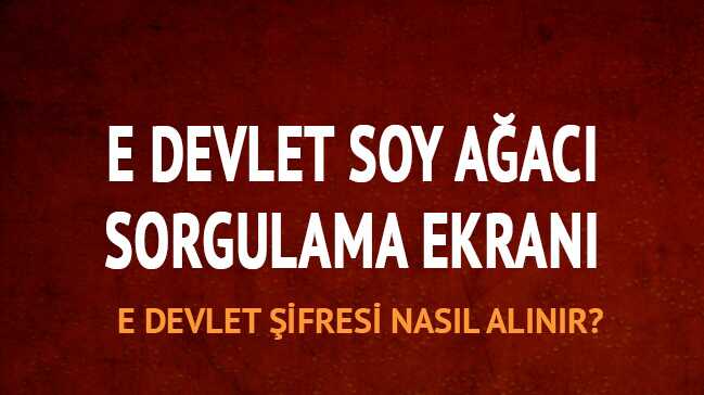 E-devlet%E2%80%99ten+dev+hizmet%21;
