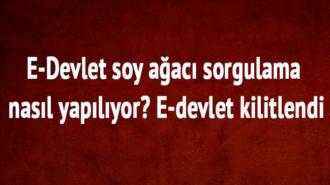 E-Devlet%E2%80%99den+dev+hizmet