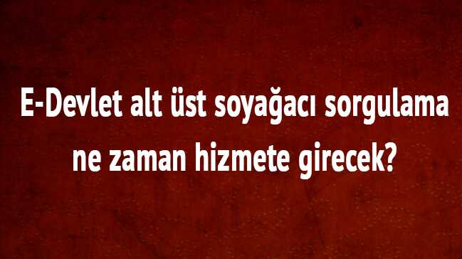 e-Devlet+alt+%C3%BCst+soya%C4%9Fac%C4%B1+sorgulama+ne+zaman+a%C3%A7%C4%B1lacak?