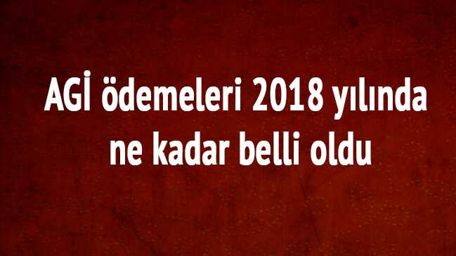 Asgari+%C3%BCcret+ve+AG%C4%B0+%C3%B6demeleri+2018+y%C4%B1l%C4%B1nda+ne+kadar?