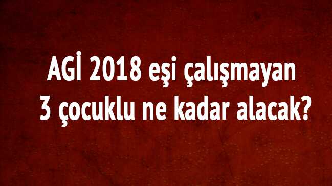 AG%C4%B0+3+%C3%A7ocuklu+e%C5%9Fi+%C3%A7al%C4%B1%C5%9Fmayan+%C3%A7al%C4%B1%C5%9Fan+ne+kadar+alacak+2018+AG%C4%B0+ne+kadar+oldu+