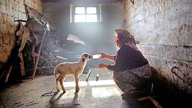 Anadolu+hep+%C4%B0stanbul’un+penceresinden+g%C3%B6sterildi