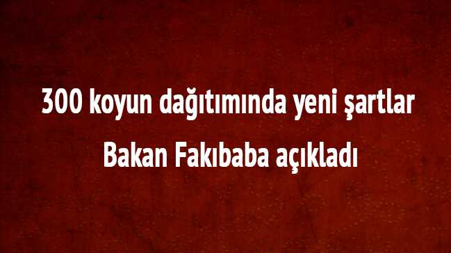 300+koyun+da%C4%9F%C4%B1t%C4%B1m%C4%B1nda+yeni+%C5%9Fartlar+Bakan+Fak%C4%B1baba+a%C3%A7%C4%B1klad%C4%B1