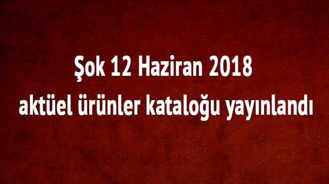 %C4%B0%C5%9Fte+%C5%9EOK%E2%80%99ta+haftan%C4%B1n+f%C4%B1rsatlar%C4%B1