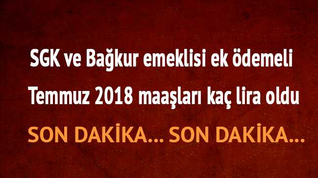 Emekliler için kamu hizmetlerini ödemede faydaları nelerdir Emekliler için kamu hizmetlerini ödemede faydaları nelerdir