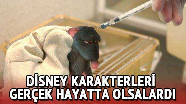 Disney karakterleri ger�ek hayatta olsalard�