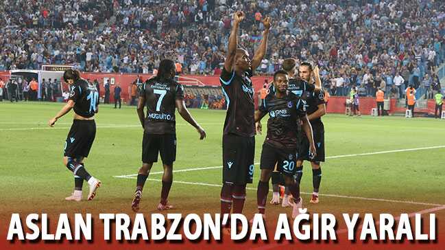 Aslan, Trabzon'da a��r yaral�!