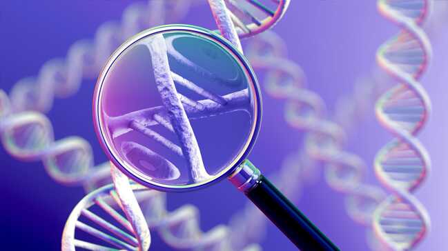 DNA+ile+ikiz+do%C4%9Fumlar%C4%B1+aras%C4%B1ndaki+ili%C5%9Fki+%C3%A7%C3%B6z%C3%BCld%C3%BC