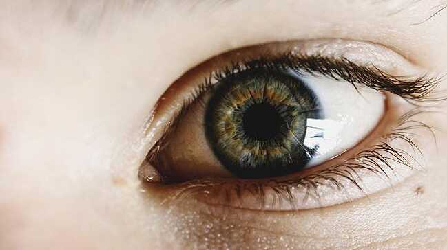 ABD%E2%80%99li+bilim+insanlar%C4%B1+g%C3%B6rme+bozukluklar%C4%B1n%C4%B1n+tedavisi+i%C3%A7in+retina+%C3%BCretti