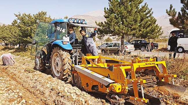 Akşam: Yerli ve milli patates Nahita, dünyaya açılıyor Akşam: Yerli ve milli patates Nahita, dünyaya açılıyor