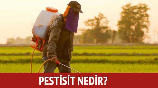Pestisit+nedir,+ne+demek?+Pestisit+zararlar%C4%B1+etkileri+nedir?