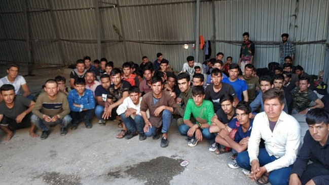 Edirne'de 481 düzensiz göçmen yakalandı