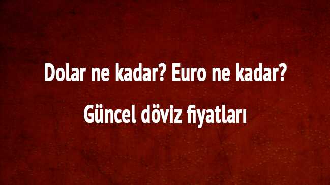 18+Aral%C4%B1k+dolar+euro+ka%C3%A7+TL?