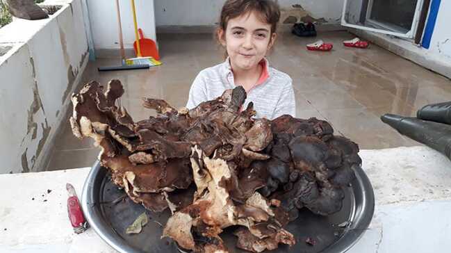 Bodrum%E2%80%99da+bulunan+5+kilo+700+graml%C4%B1k+mantar+%C5%9Fa%C5%9F%C4%B1rtt%C4%B1