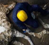 Pompeiide taşlaşmış at kalıntıları bulundu 80