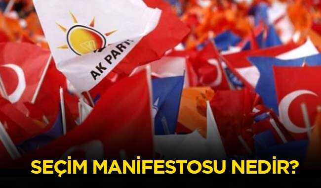 Manifesto+ne+demek%E2%80%99