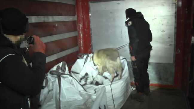 1 ton 535 kilogram uyuÅturucu ile ilgili görsel sonucu