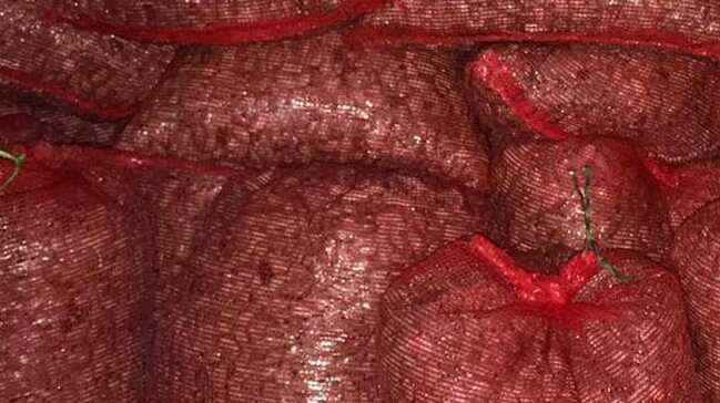 Bursa%E2%80%99da+ka%C3%A7ak+avlanan+1+ton+300+kilogram+midye+ele+ge%C3%A7irildi+